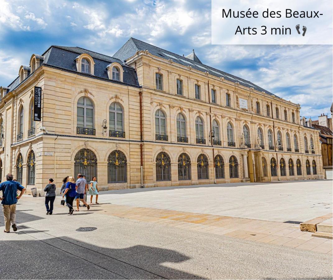 Le Souplex Des Ducs Appartement Dijon